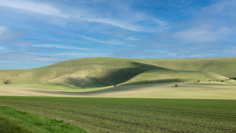 Pewsey Vale